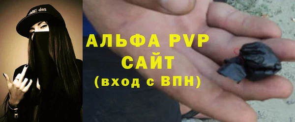 ГАЛЛЮЦИНОГЕННЫЕ ГРИБЫ Аркадак