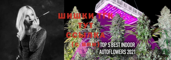 ГАЛЛЮЦИНОГЕННЫЕ ГРИБЫ Аркадак